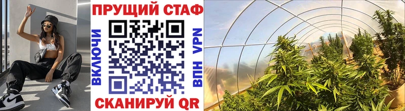 Наркошоп Мурманск Канабис  Меф  АМФ  ГАШ  Cocaine  A PVP 