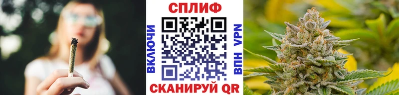 Каннабис ГИДРОПОН  наркотики  Мурманск 